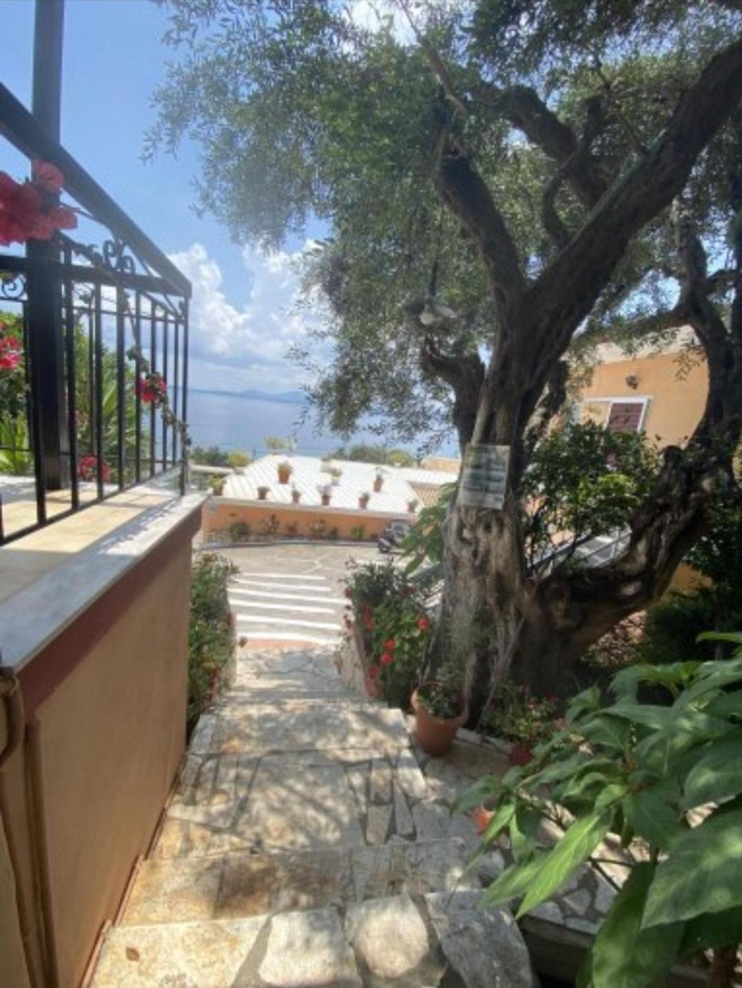 Emilios See View Apartment Barbati Extérieur photo